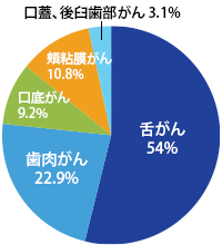 口腔がんの部位と割合を示す円グラフ