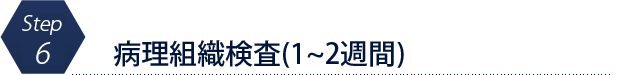 病理組織検査(1~2週間)
