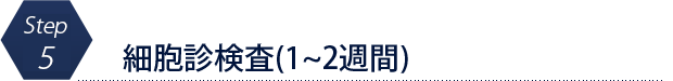 細胞診検査(1~2週間)